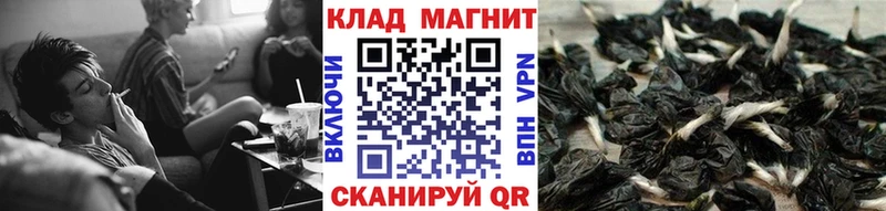 Купить наркотик аптеки Полярный Героин ЭКСТАЗИ Меф Гашиш MEGA вход Канабис