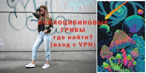 мяу мяу мука Арсеньев